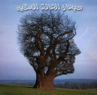 sob7anaalah